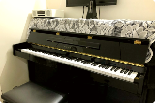 シアーミュージック高田馬場校の口コミ・評判レビュー【周辺の音楽教室と比較】